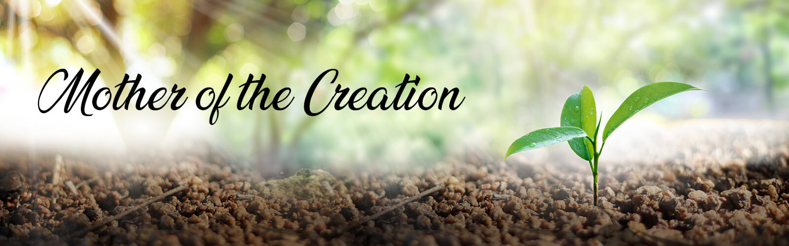 Mothers Day- Mother of the Creation